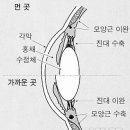 씨유안경 네이버블로그