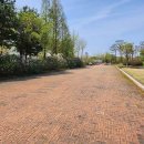 강변유원지길 이미지