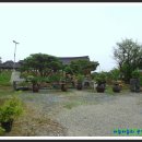 아름다움을먹다 이미지