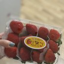 조쿤과일