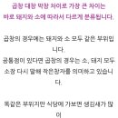 왔다갔다황소곱창 네이버블로그