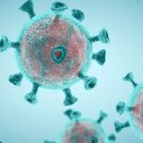 아이캐슬 안경원 내수점 이미지