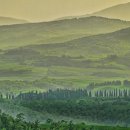 포레스트힐부동산공인중개사사무소 이미지