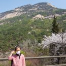 부칸산837 이미지