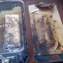 도시락폭탄 이미지