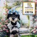 눈부시개 이미지