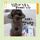 본덴탈 | 강아지 양치템 정글몬스터 칫솔 &amp; 본아페티 3세대 덴탈치약 내돈내산 후기