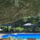 양지말펜션2 | 홍천 펜션 : 수영장&amp;계곡이 있는 갓성비 숙소, 안개자니 펜션