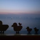 대하횟집 이미지