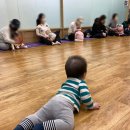 오감톡톡 인지톡톡 싱글벙글(8~13개월) | [이마트문센]애기똥풀vs싱글벙글vs오감놀이터 지극히 주관적인 후기.