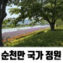 더리터전남 | 남편이랑 1박2일 내 돈 내산 여수 여행(Feat. 순천):D