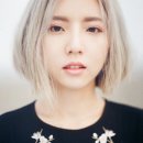 러블리 스텔라 노컷뉴스