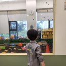 조이그로잉