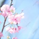 소로3-282 이미지