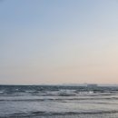 송도복국