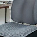 허리나 연구소 네이버블로그