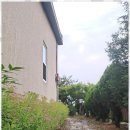 자연쉼터 | 독립기념관근천펜션 자연 속 쉼터, 별꽃정원펜션 후기