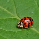 유한검도관 이미지