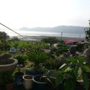 자은농장 이미지