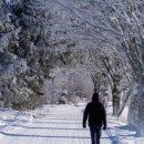 영하산업 이미지