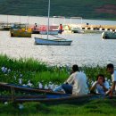 🌳 [불교방송 원고읽기] 세상을 변화시키는 방법 이미지