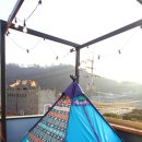 알럽에스제이 이미지