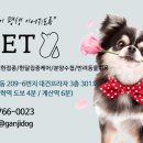 에이펫(A-PET) 이미지