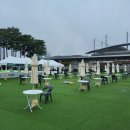 도그,위브 이미지