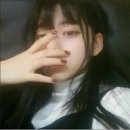신세휘 카카오 검색결과