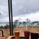 경주주상절리펜션 | 경주 감포 오션뷰 카페 콘크카페 경주주상절리점 솔직후기