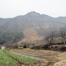 오곡리 Daum카페