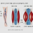 피트니스 지금 이미지