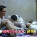 엔젤모텔 이미지