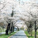 남도(80) 이미지