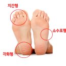 정우의학서적 이미지