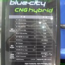 블루시티 이미지