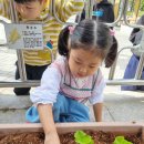 정관3어린이집 이미지