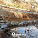 충주 추평천 충북뉴스