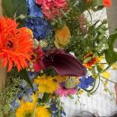 꼬모플레리 | 낭만여름 군산꽃집 꼬모