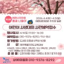 시냇물공원 | 제주도 벚꽃 명소 실시간 : 예래생태공원 예래동 벚꽃축제 유채꽃까지 완벽 코스