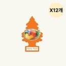 리틀트리