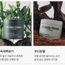 고체탈취제 코코도르 신제품, 아이 있는 집 신발장 옷장 냄새 잡은 솔직 후기