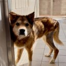 봉선농장 이미지