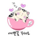 러블리몽 네이버블로그