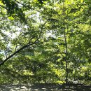 바우제이발관 | [남양주 철마캠핑장] 서울 근교 힐링하기 좋은 숲속 감성 캠핑장(데크2 사이트 이용후기)