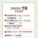 캣플 동탄점