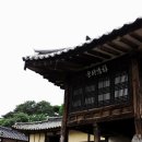 명재나물