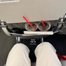 제주보홀 | 보홀 제주항공 항공권 직항 왕복 아이동반 비용 좌석 탑승후기