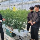 자립농장 이미지