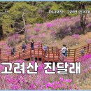 축제코스 | 강화 고려산 진달래 축제 등산코스 산행 후기